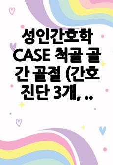 성인간호학 CASE 척골 골간 골절 (간호진단 3개, 간호과정 3개)