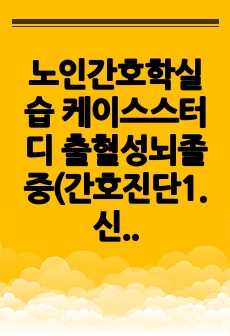 노인간호학실습 케이스스터디 출혈성뇌졸중(간호진단1. 신체적 움직임 제한과 관련된 낙상의 위험, 2. 좌측 편마비와 관련된 신체기동성장애)