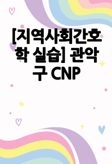 [지역사회간호학 실습] 관악구 CNP