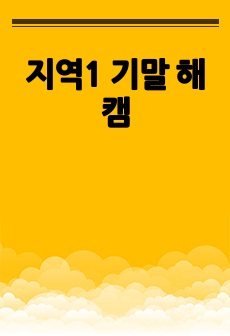 지역1 기말 해캠