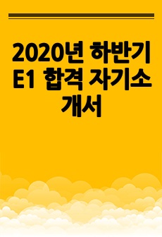 2020년 하반기 E1 합격 자기소개서