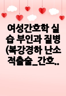 여성간호학 실습 부인과 질병(복강경하 난소 적출술_간호진단2개+간호과정2개)