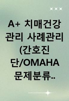 A+ 치매건강관리 사례관리(간호진단/OMAHA 문제분류체계)