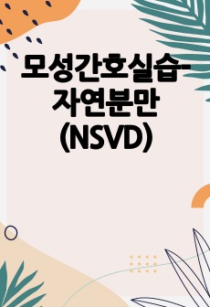 모성간호실습-자연분만(NSVD)