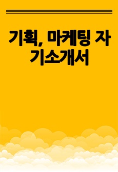 기획, 마케팅 자기소개서