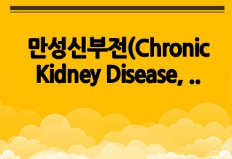 만성신부전(Chronic Kidney Disease, CKD) A+자료/ 간호진단 5개, 과호과정 2개