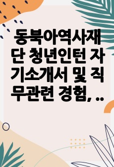 동북아역사재단 청년인턴 자기소개서 및 직무관련 경험, 경력기술서