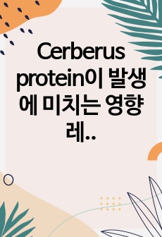 Cerberus protein이 발생에 미치는 영향 레포트_발생학