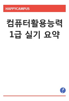 컴퓨터활용능력(컴활) 1급 실기 요약