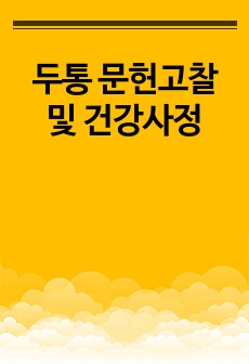 두통 문헌고찰 및 건강사정