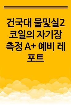 건국대 물및실2 코일의 자기장 측정 A+ 예비 레포트