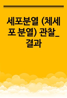 ﻿﻿세포분열 (체세포 분열) 관찰_결과