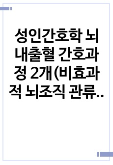 성인간호학 뇌내출혈 간호과정 2개(비효과적 뇌조직 관류의 위험, 전해질 불균형의 위험)