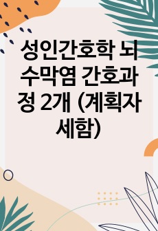 성인간호학 뇌수막염 간호과정 2개 (계획자세함)