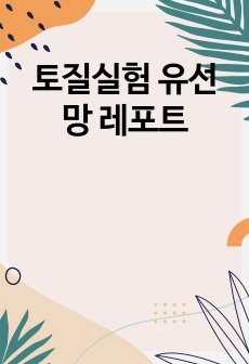 토질실험 유선망 레포트