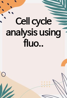 Cell cycle analysis using fluoresecnce microscopy 형광현미경을 이용한 세포주기 분석