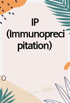 IP (Immunoprecipitation)