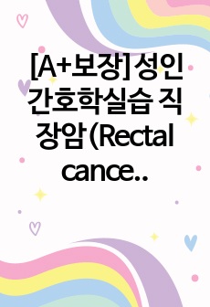 [A+보장]성인간호학실습 직장암(Rectal cancer) 간호, 간호진단, 간호과정, 컨퍼런스, 케이스스터디 13페이지 자료입니다.